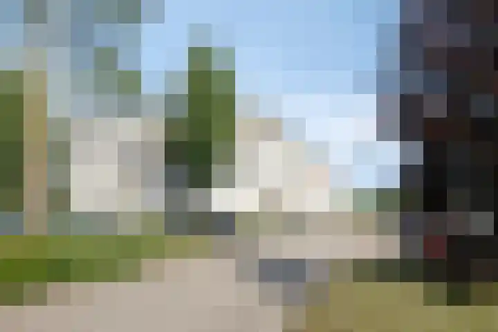 Broekmorgen 95 Uden thumbnail 31