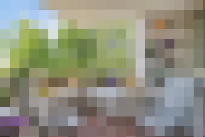 Broekmorgen 95 Uden thumbnail 7