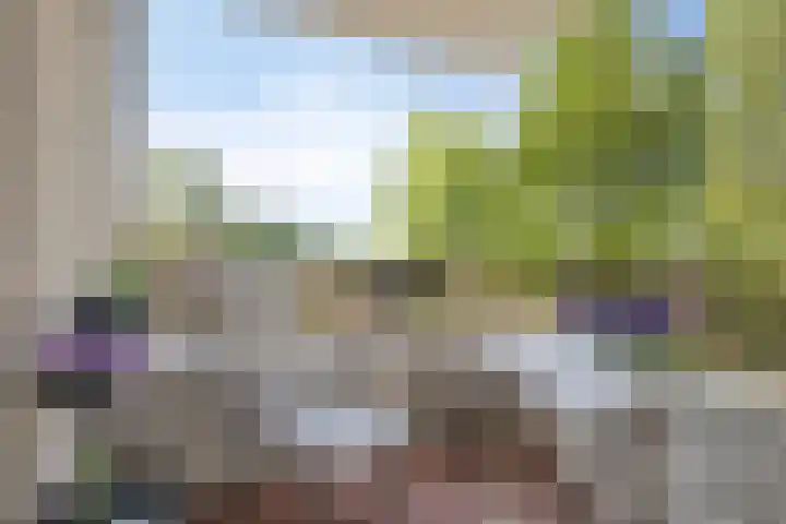 Broekmorgen 95 Uden thumbnail 8