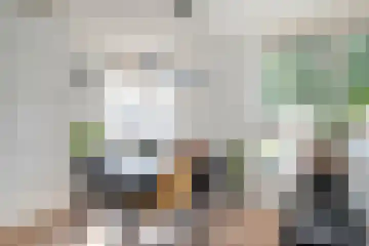 Broekmorgen 95 Uden thumbnail 9