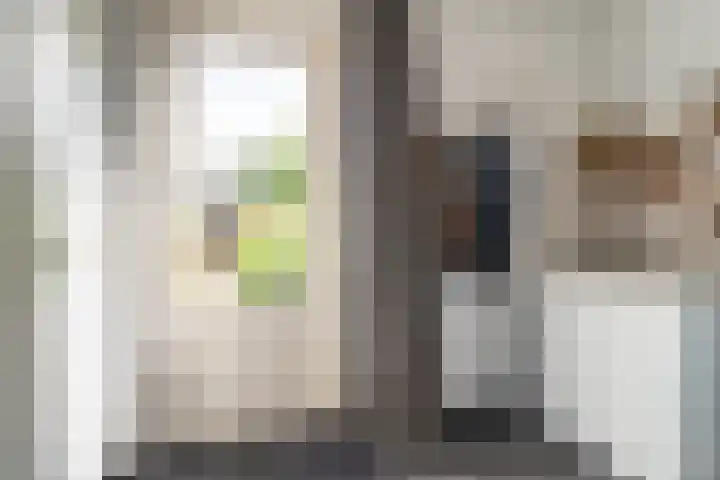 Broeksehof 13 Babyloniënbroek thumbnail 17
