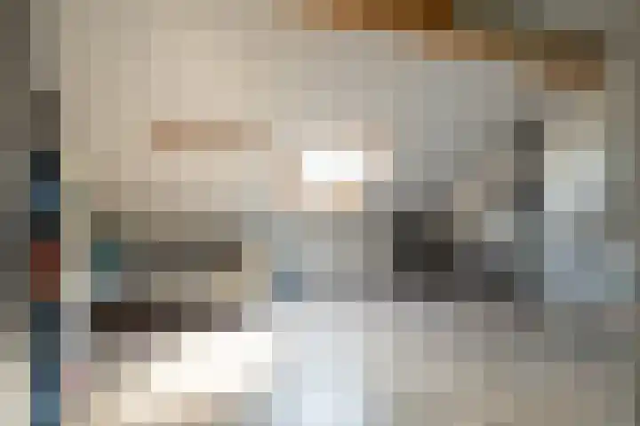 Broeksehof 13 Babyloniënbroek thumbnail 31