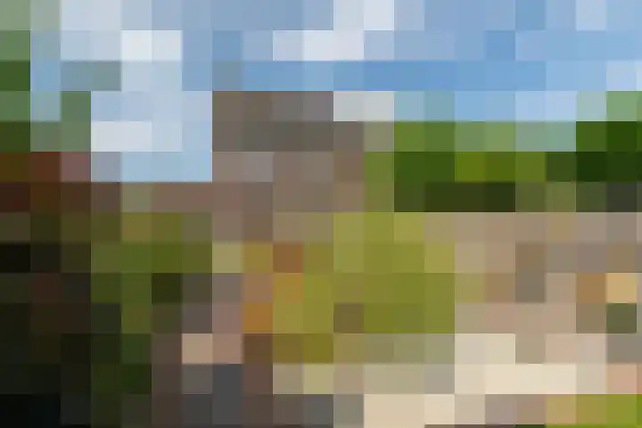 Broeksehof 13 Babyloniënbroek thumbnail 33