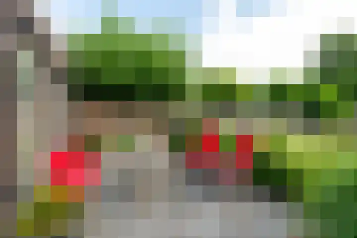 Broeksehof 13 Babyloniënbroek thumbnail 34