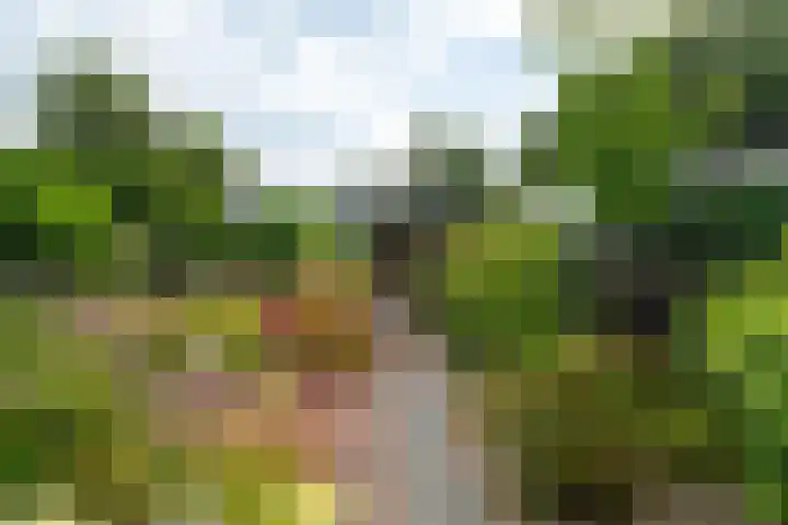 Broeksehof 13 Babyloniënbroek thumbnail 35