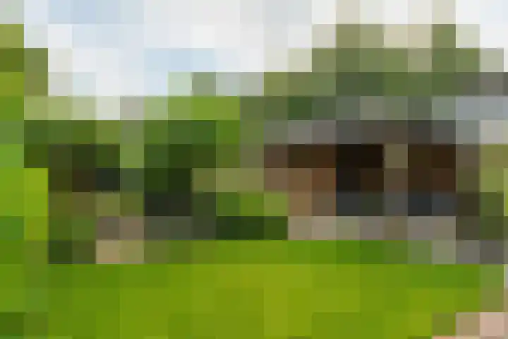Broeksehof 13 Babyloniënbroek thumbnail 37