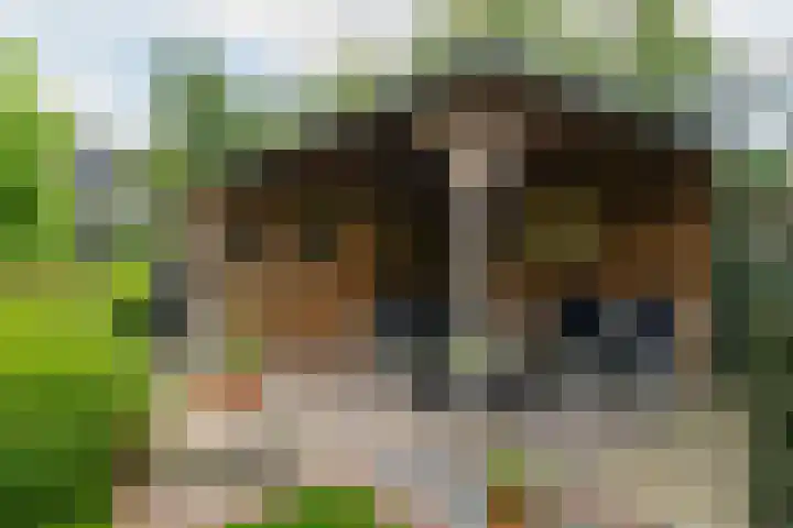 Broeksehof 13 Babyloniënbroek thumbnail 38