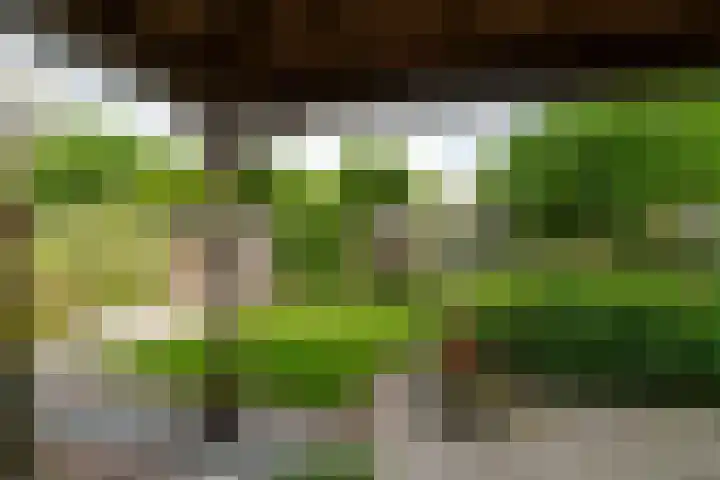 Broeksehof 13 Babyloniënbroek thumbnail 39