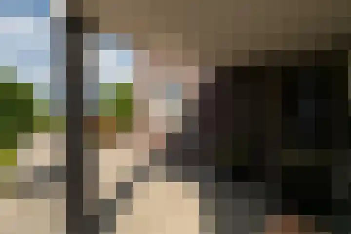 Broeksehof 13 Babyloniënbroek thumbnail 5
