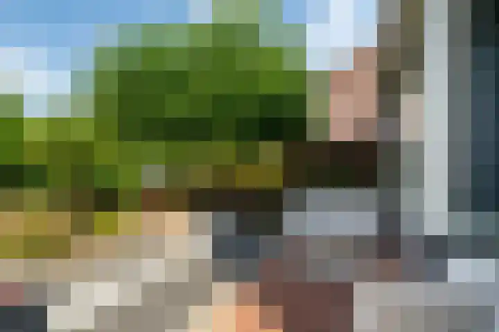 Broeksehof 13 Babyloniënbroek thumbnail 6