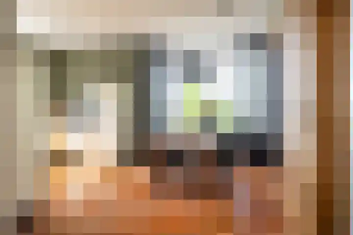 Broeksehof 13 Babyloniënbroek thumbnail 9