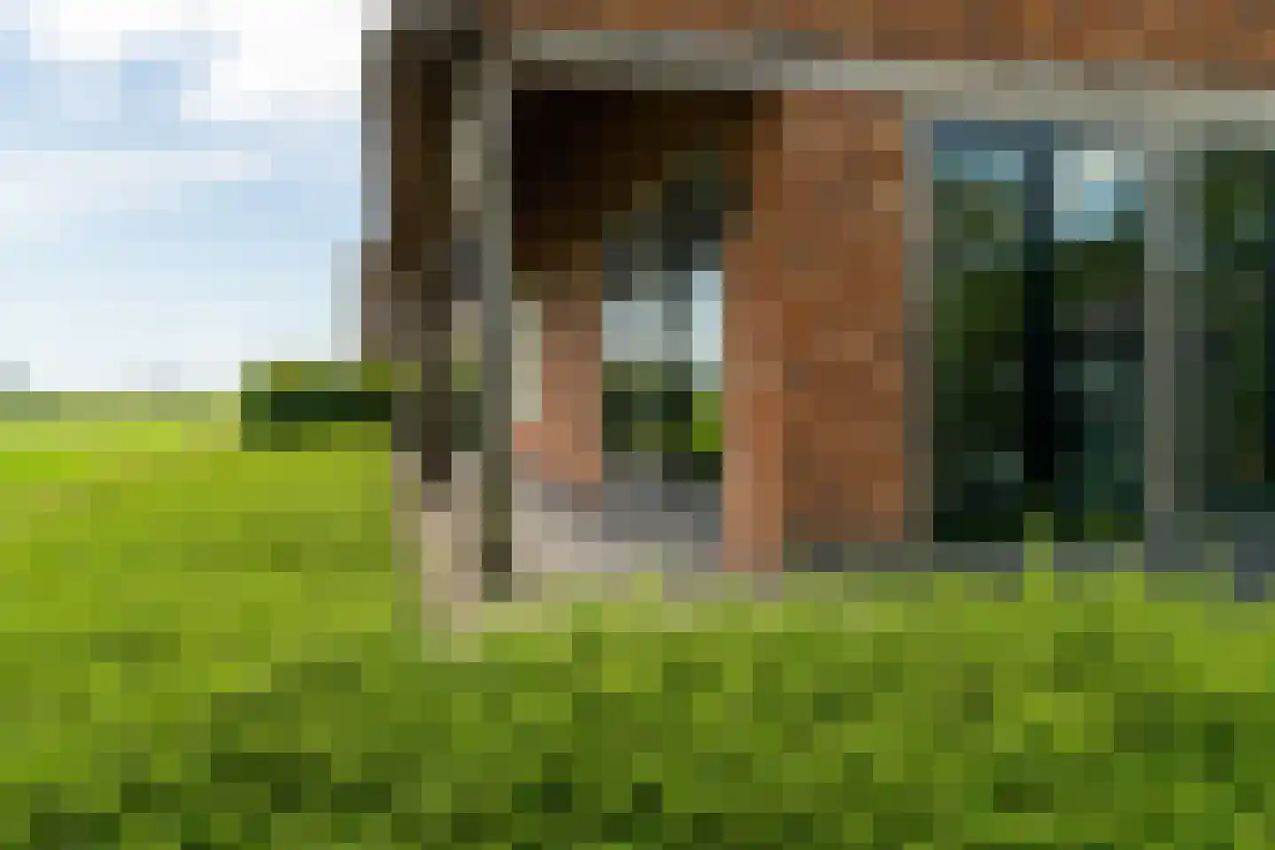 Broeksehof 17 Babyloniënbroek thumbnail 39