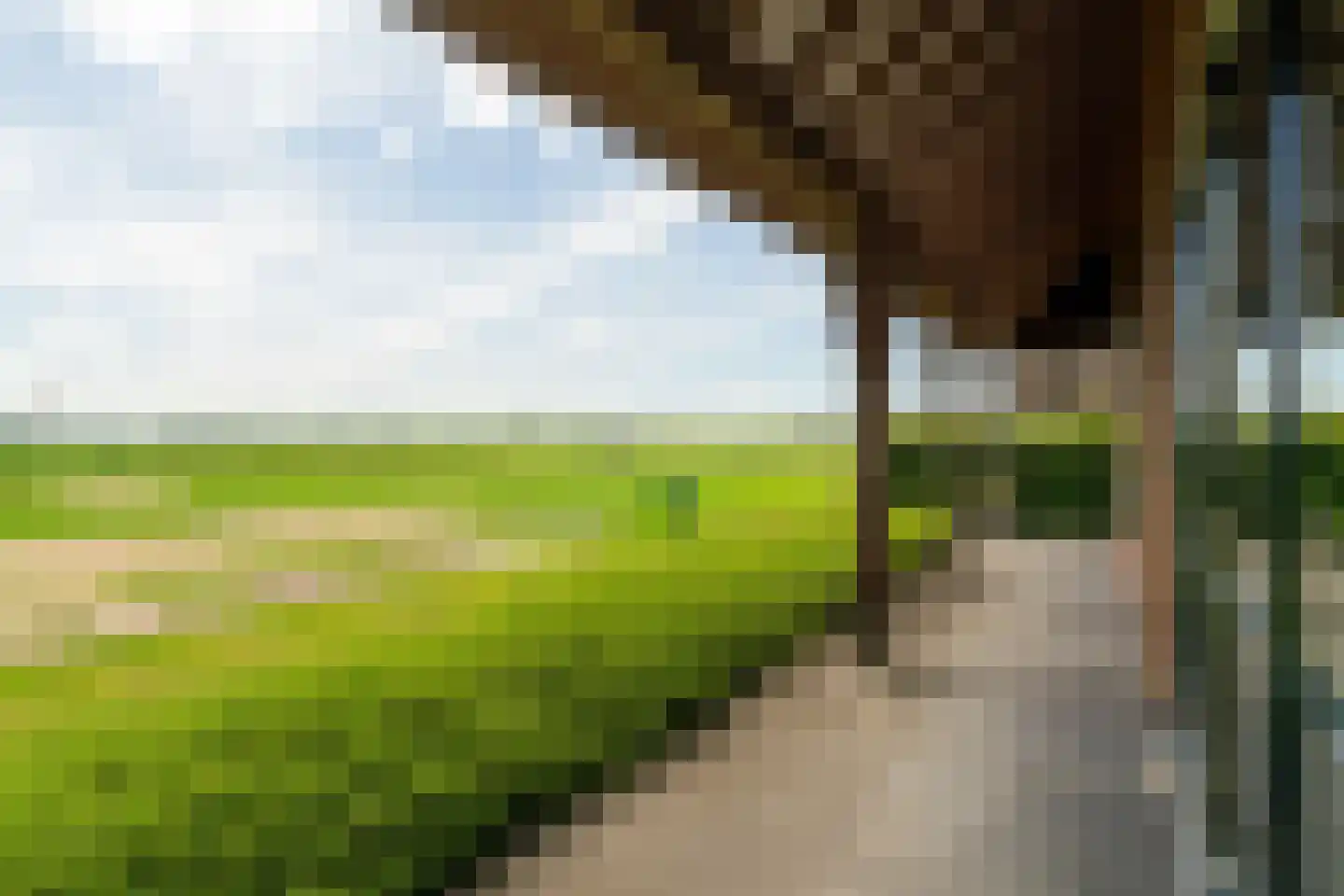 Broeksehof 17 Babyloniënbroek thumbnail 41