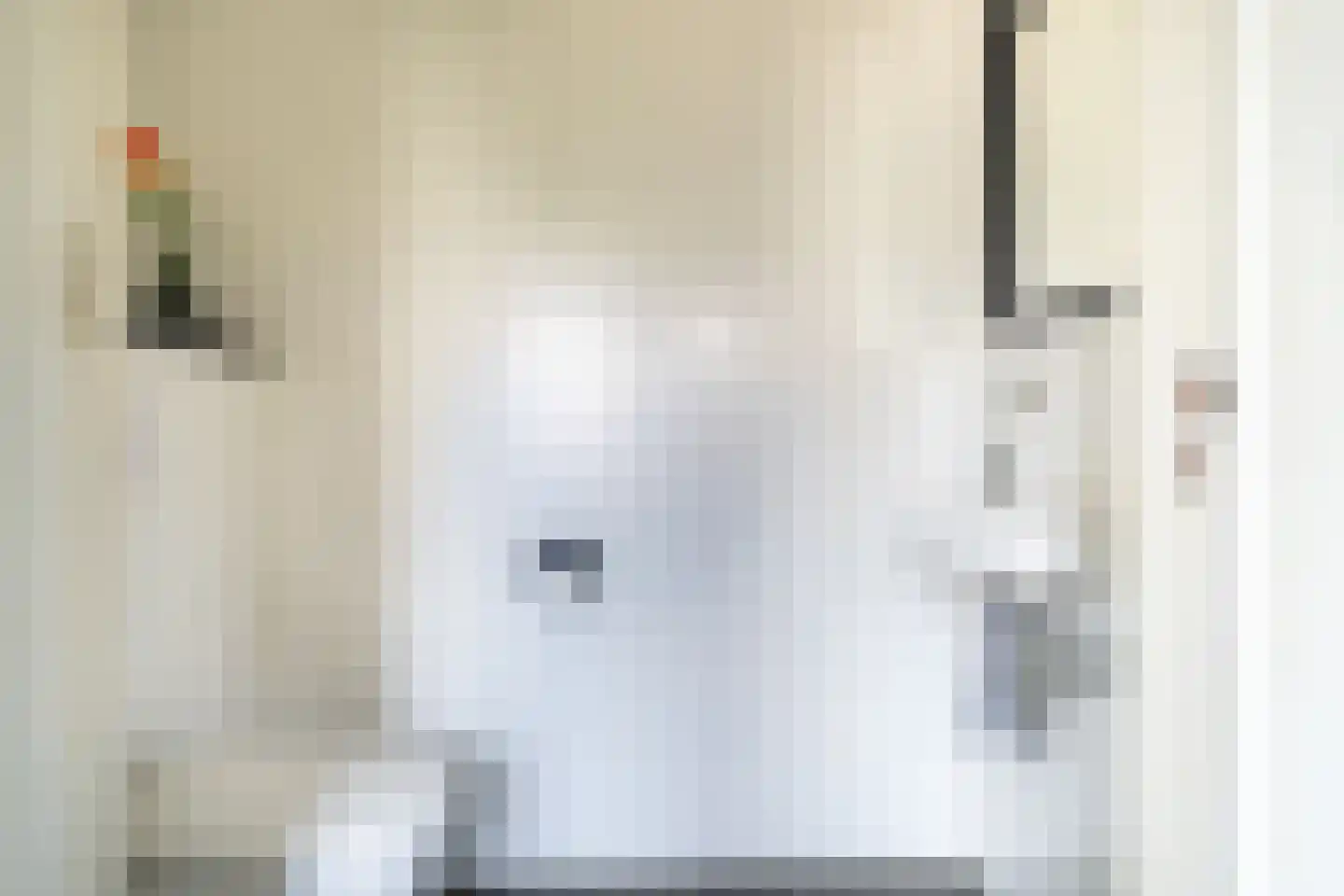 Broeksehof 17 Babyloniënbroek thumbnail 8