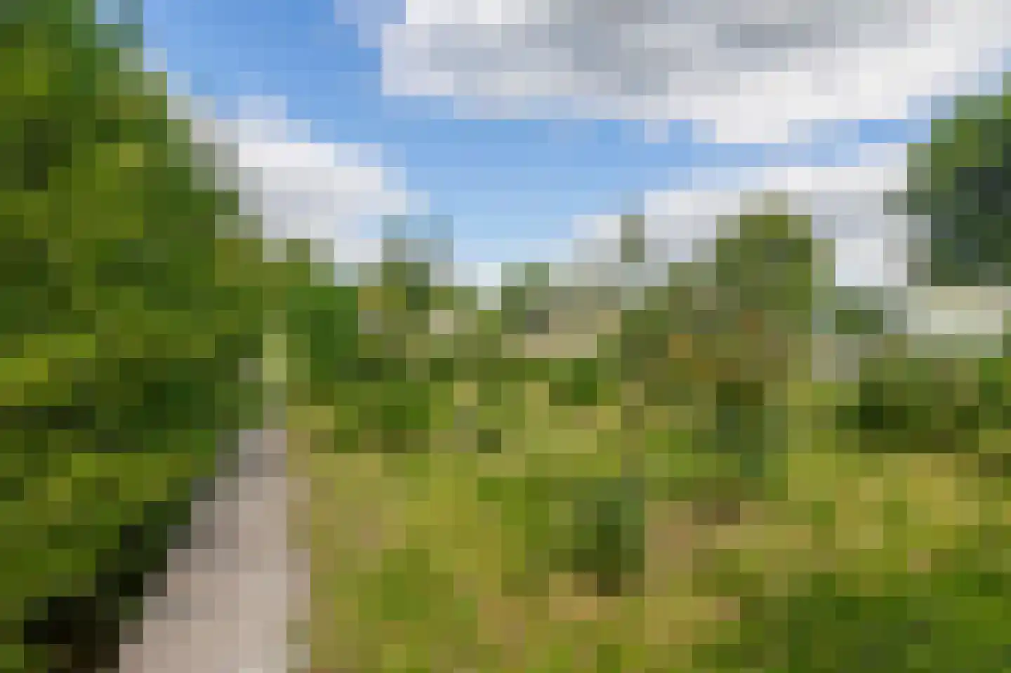 Broekselaantje 2 Bergambacht thumbnail 11