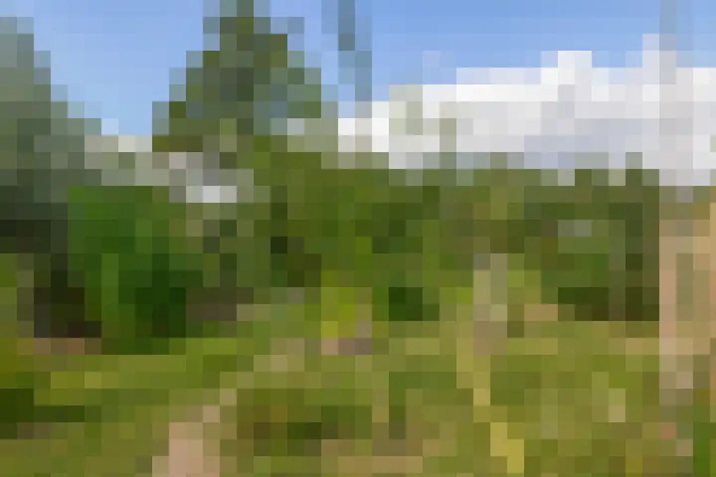 Broekselaantje 2 Bergambacht thumbnail 12