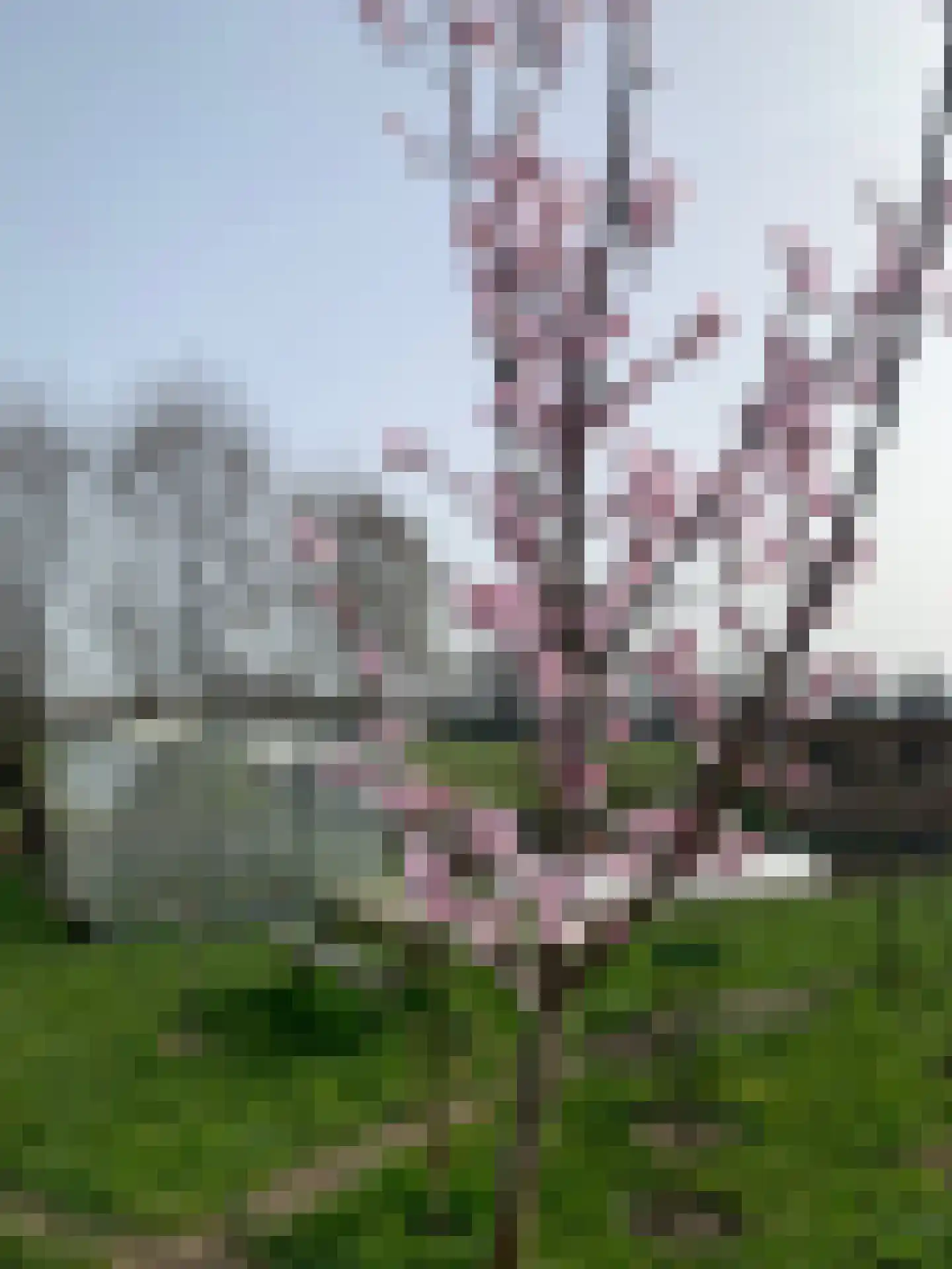 Broekselaantje 2 Bergambacht thumbnail 13