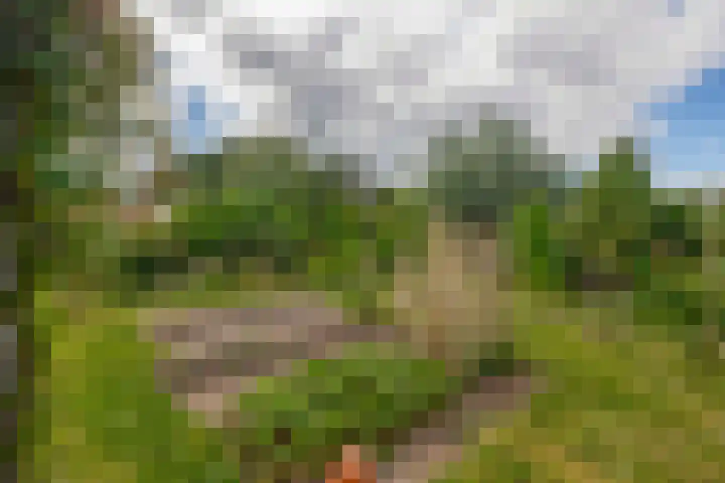 Broekselaantje 2 Bergambacht thumbnail 14