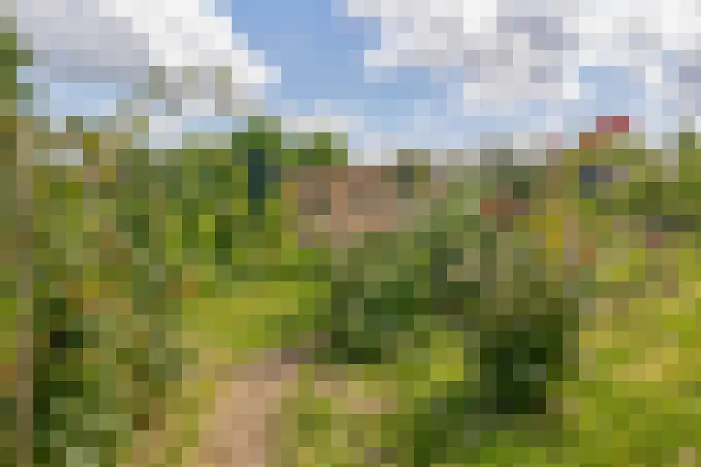 Broekselaantje 2 Bergambacht foto 3