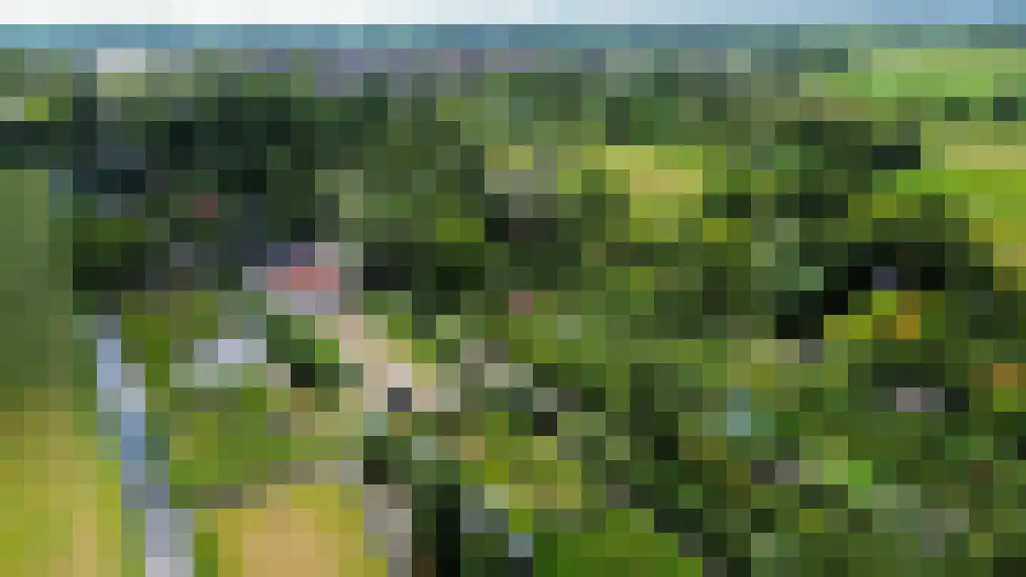 Broekselaantje 2 Bergambacht thumbnail 6