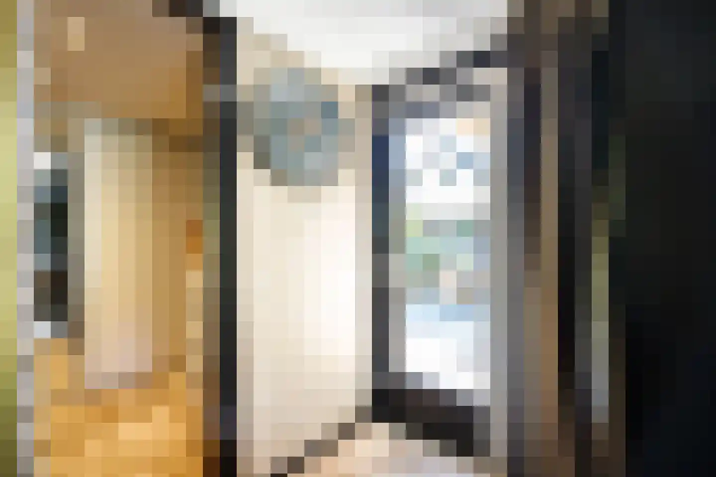 Broekselaantje 5 Bergambacht thumbnail 24
