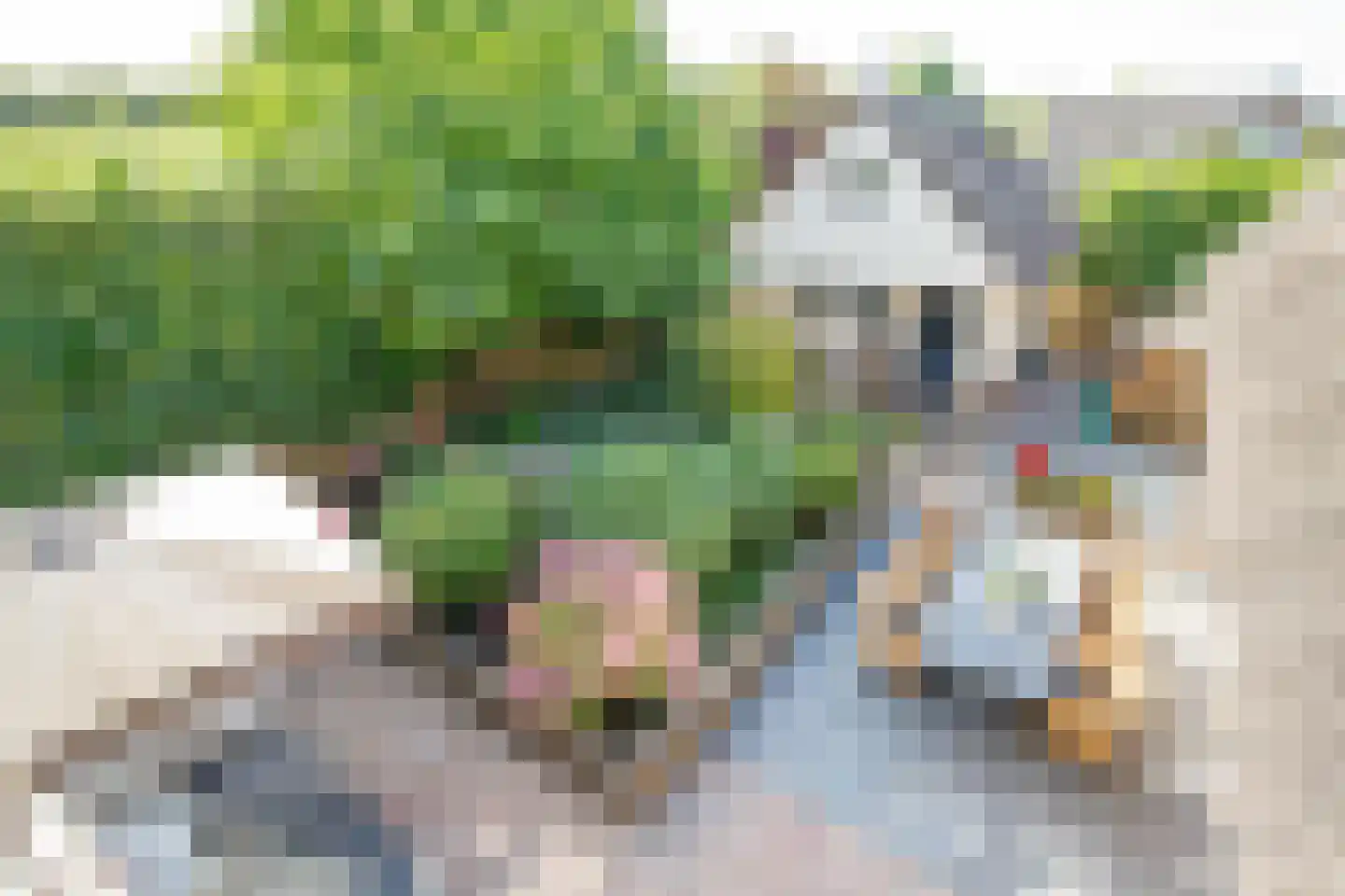 Broekselaantje 5 Bergambacht thumbnail 39