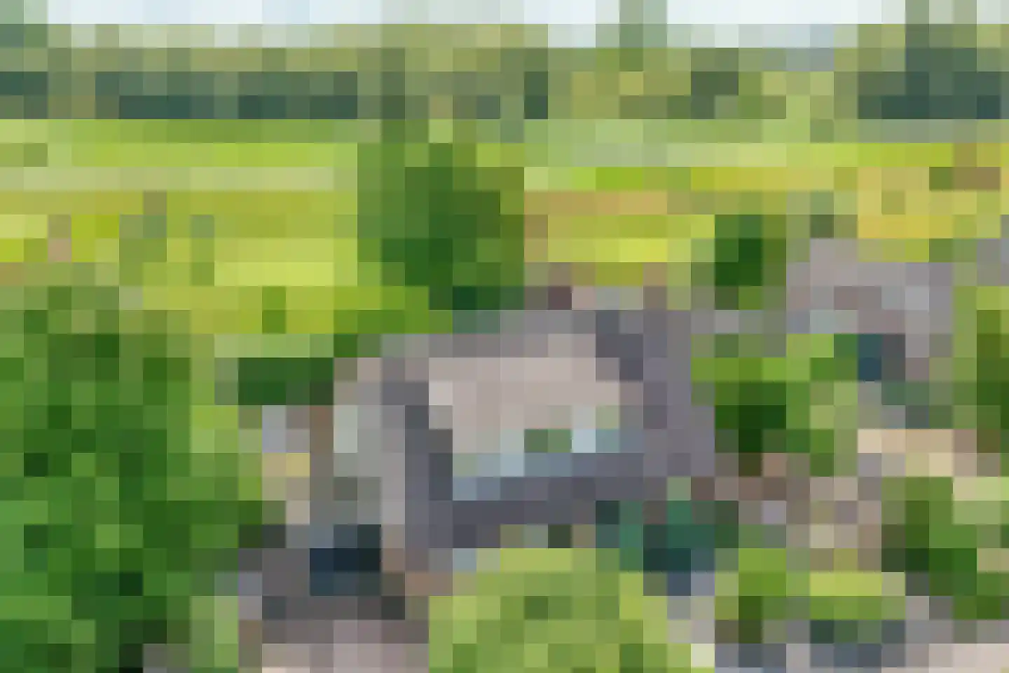 Broekselaantje 5 Bergambacht thumbnail 41