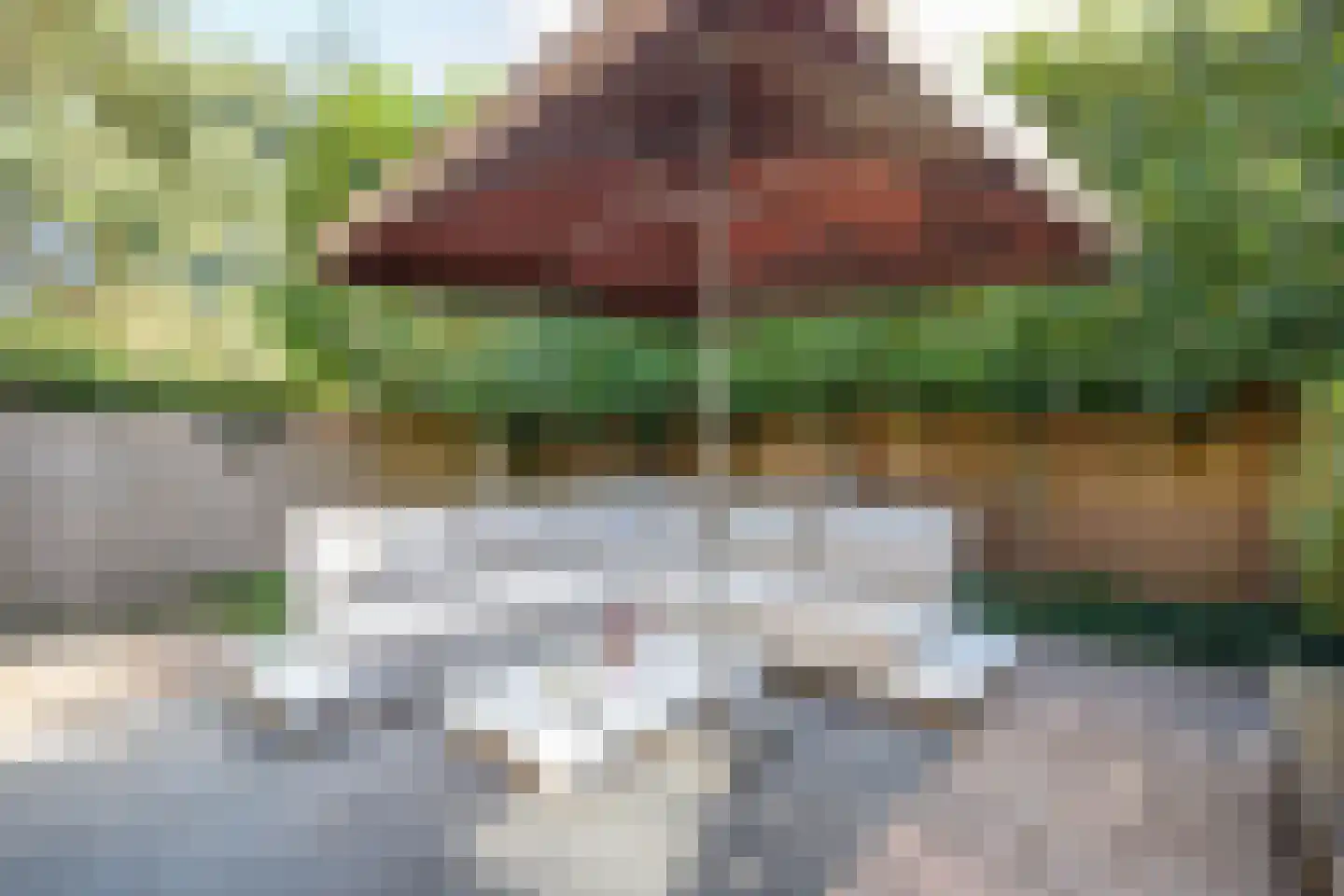 Broekselaantje 5 Bergambacht thumbnail 52