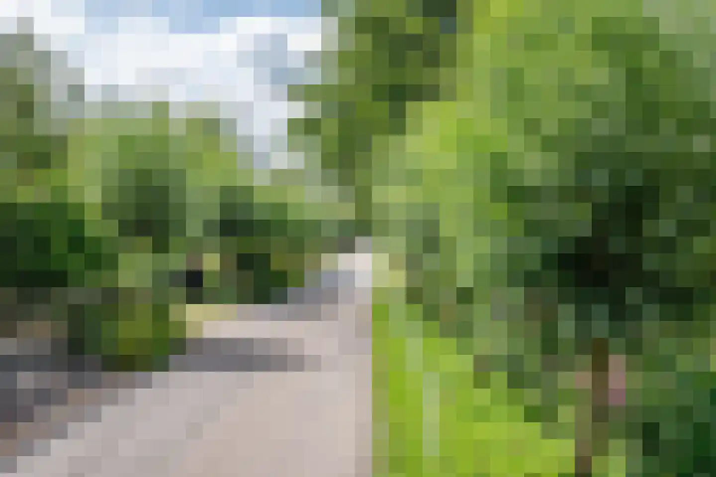 Broekselaantje 5 Bergambacht thumbnail 55