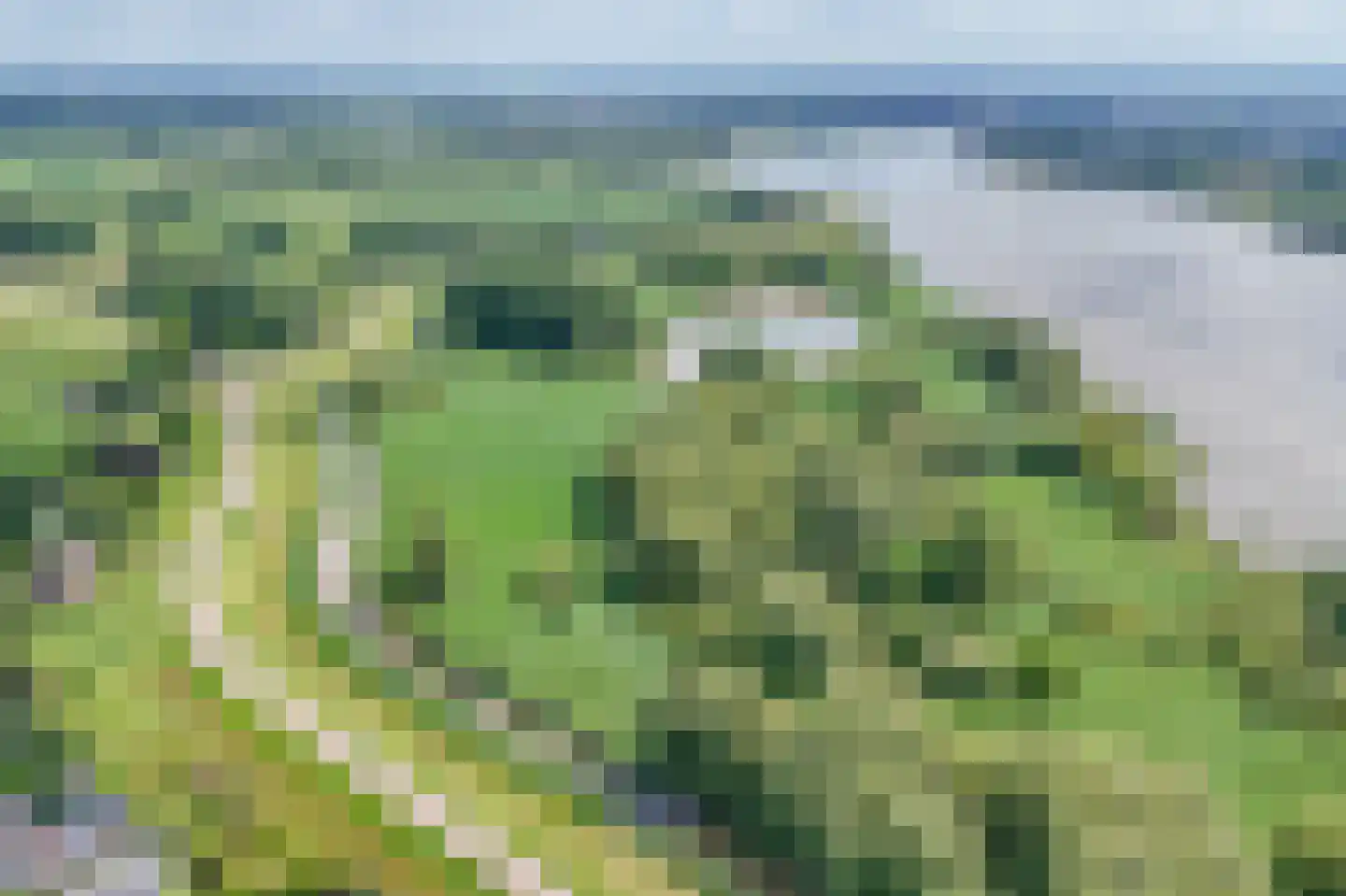 Broekselaantje 5 Bergambacht thumbnail 56