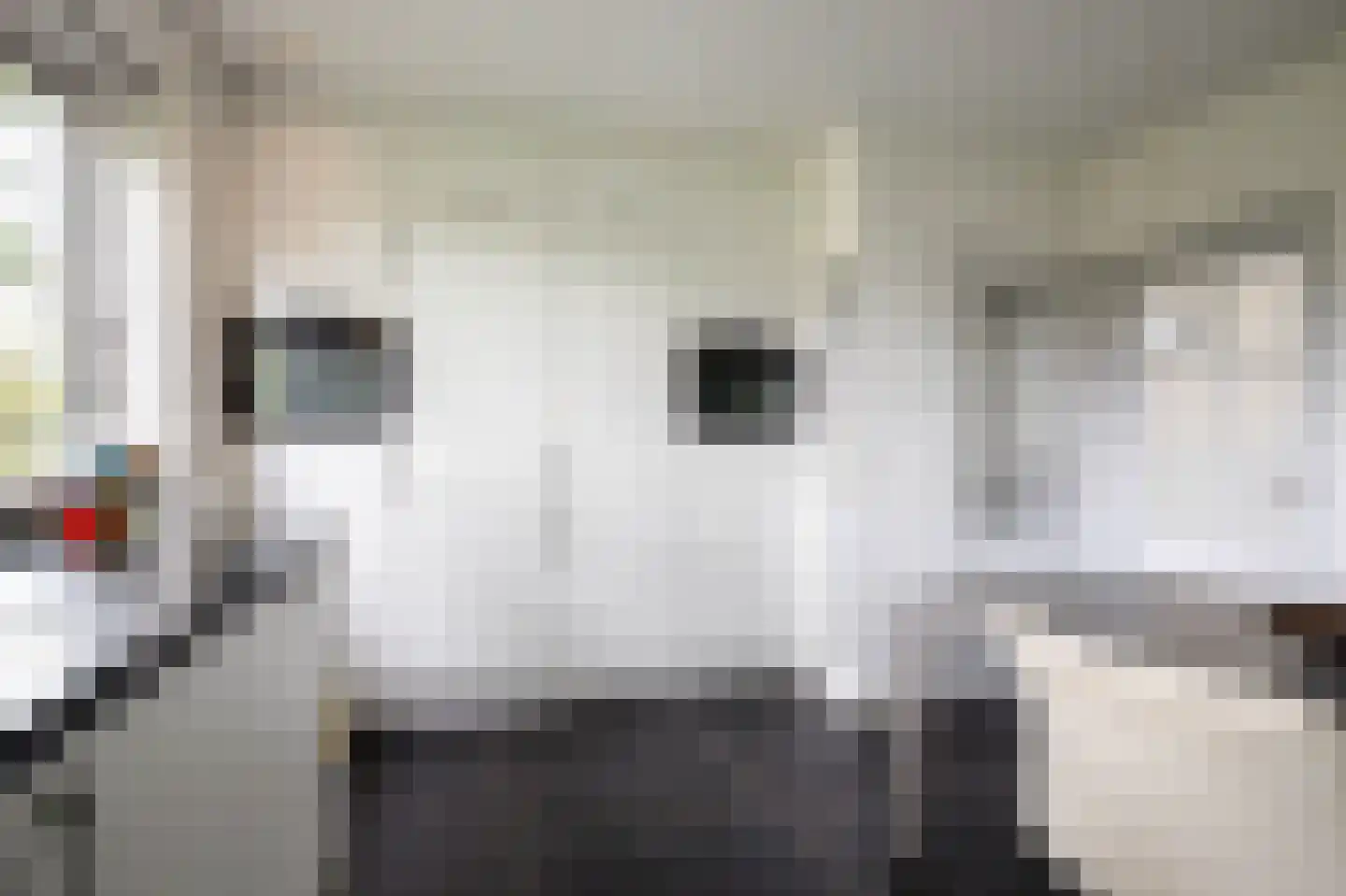 Broekselaantje 6 Bergambacht thumbnail 16