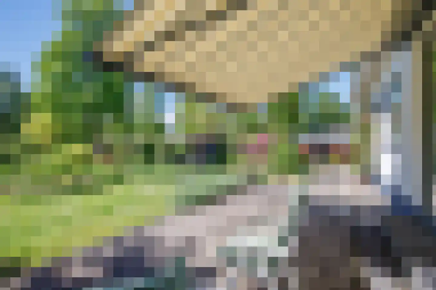 Broekselaantje 6 Bergambacht thumbnail 29