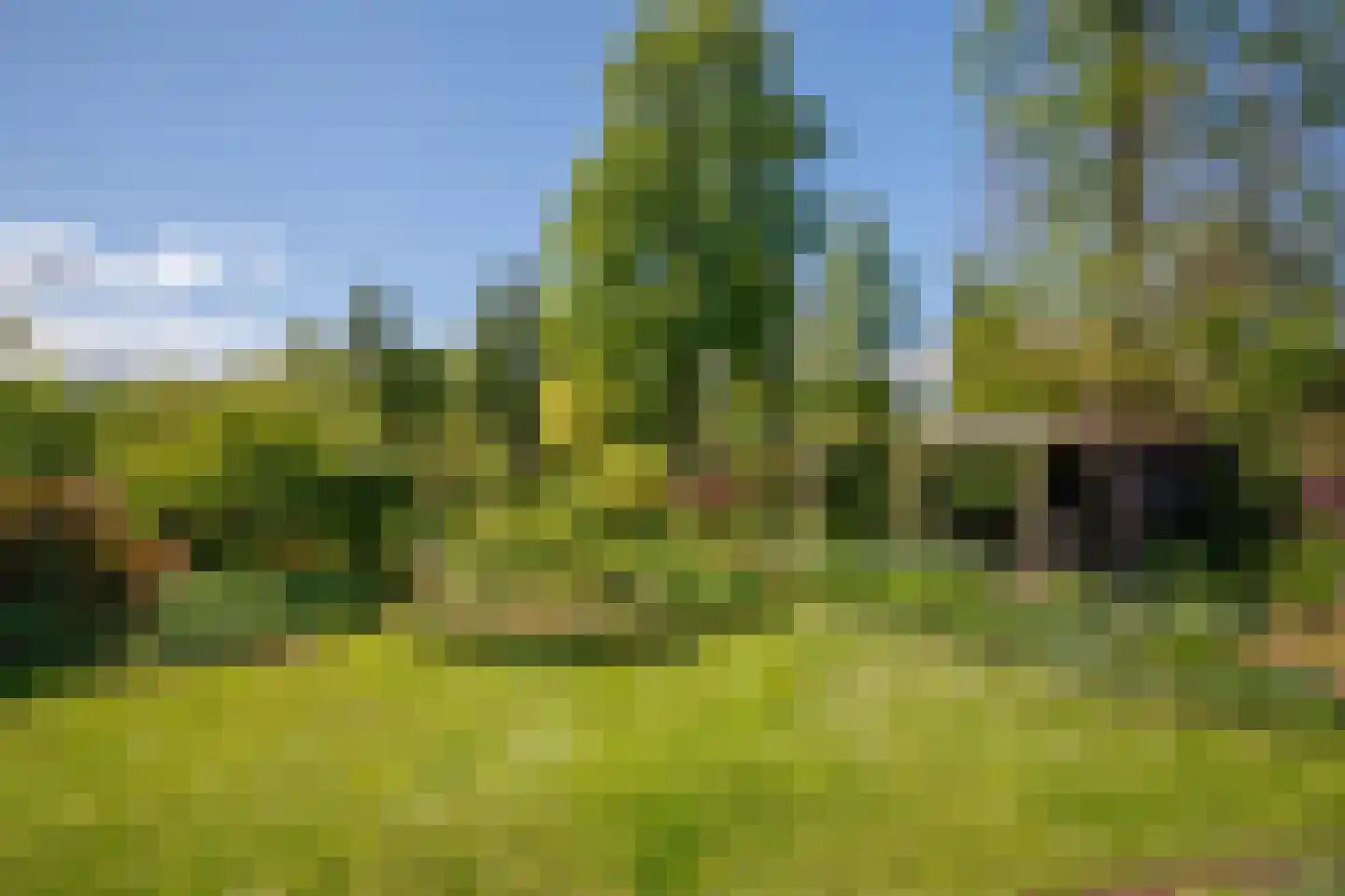 Broekselaantje 6 Bergambacht thumbnail 30