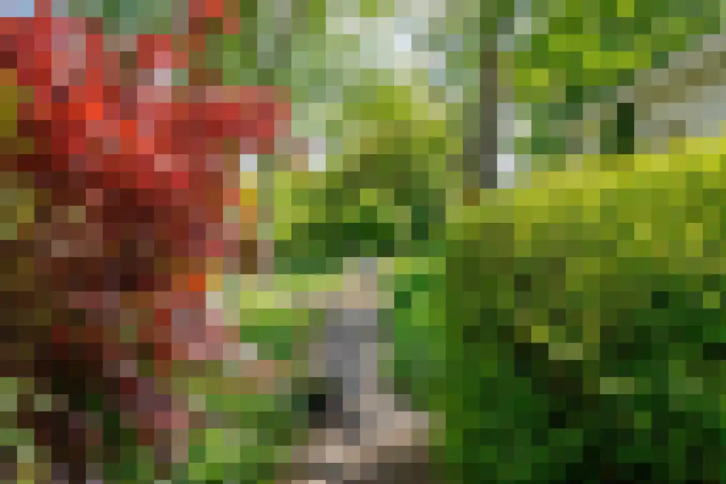 Broekselaantje 6 Bergambacht thumbnail 33