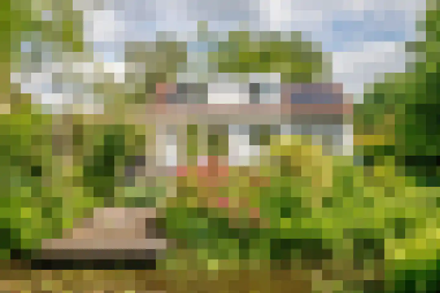 Broekselaantje 6 Bergambacht thumbnail 34