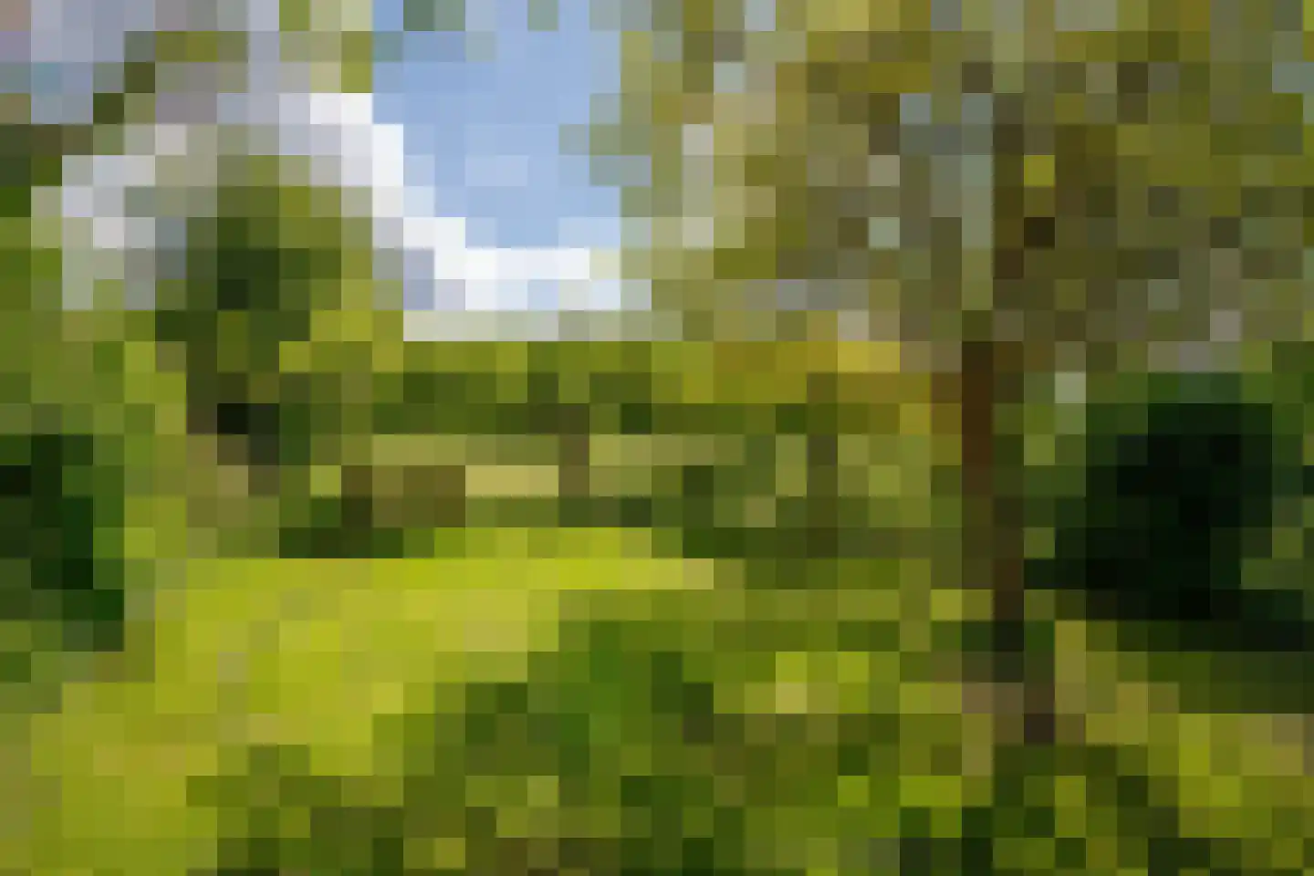 Broekselaantje 6 Bergambacht thumbnail 35