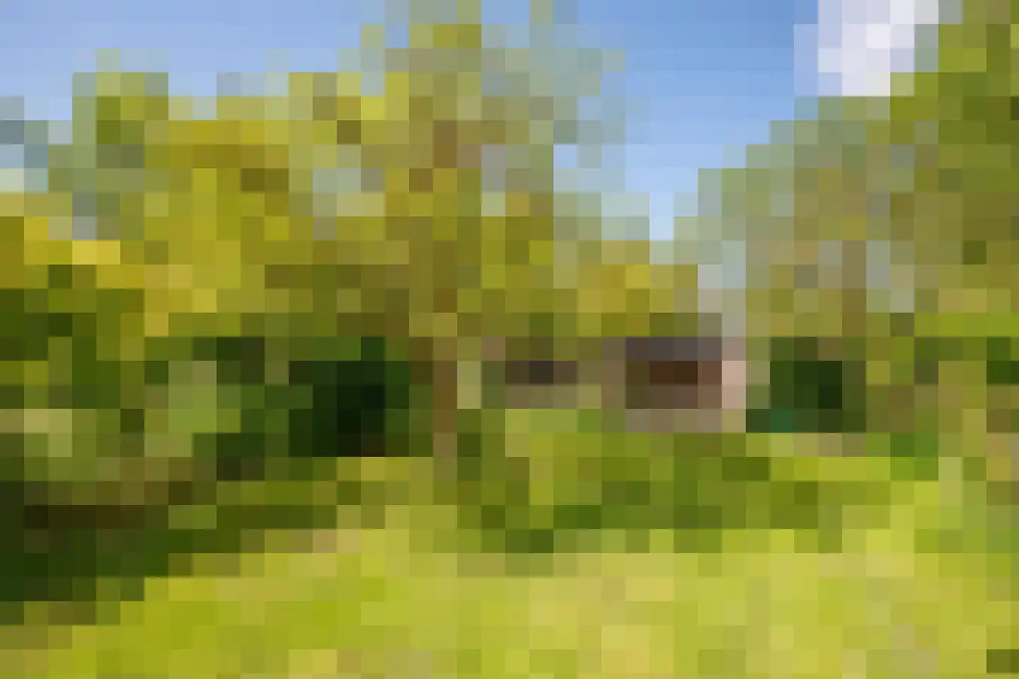 Broekselaantje 6 Bergambacht thumbnail 36