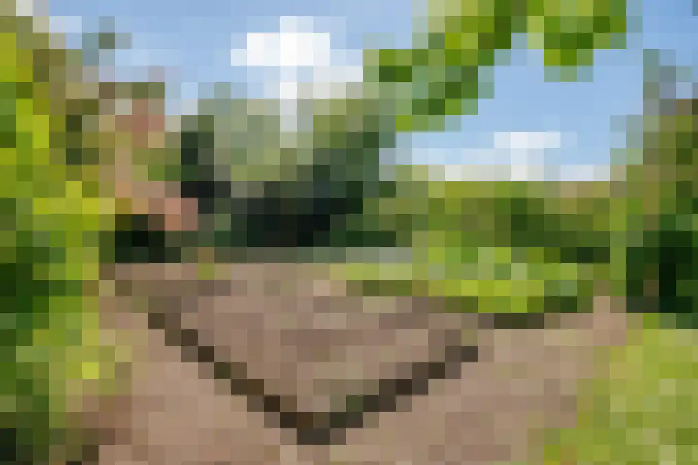 Broekselaantje 6 Bergambacht thumbnail 37