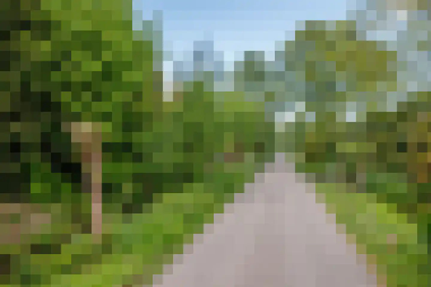 Broekselaantje 6 Bergambacht thumbnail 38