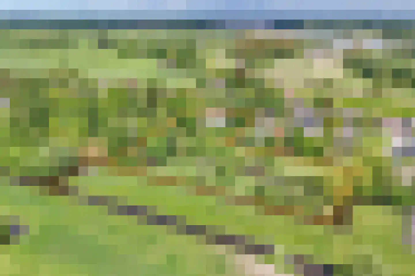 Broekselaantje 6 Bergambacht thumbnail 42