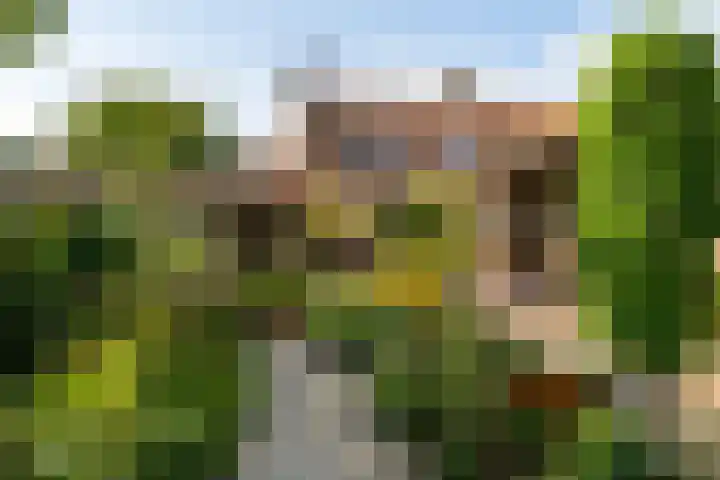 Broeksestraat 29 Babyloniënbroek thumbnail 28