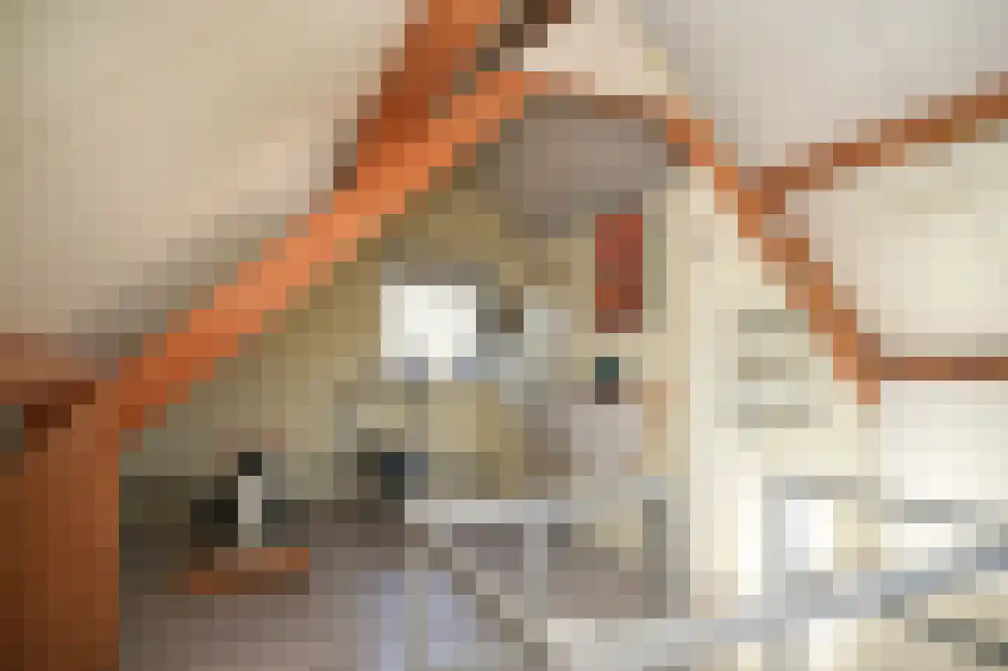 Broeksestraat 38 Babyloniënbroek thumbnail 29