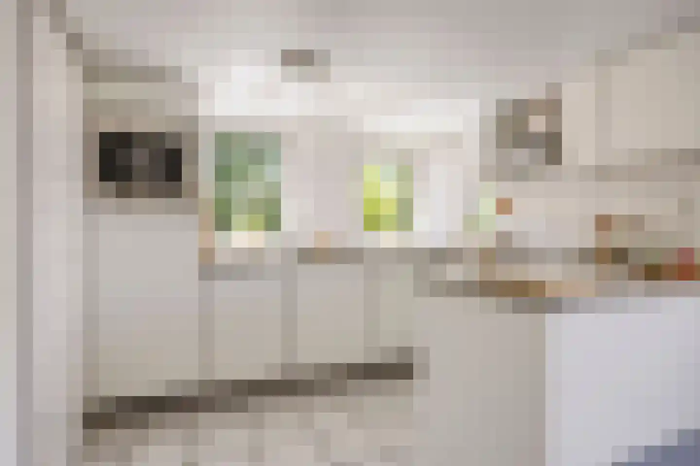 Broeksestraat 61 Babyloniënbroek thumbnail 15