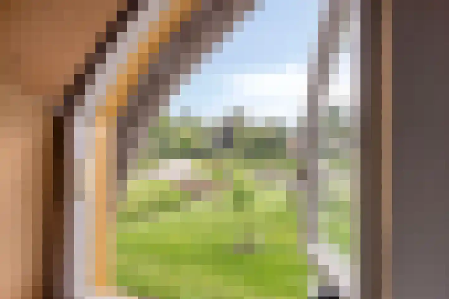Broeksestraat 61 Babyloniënbroek thumbnail 31