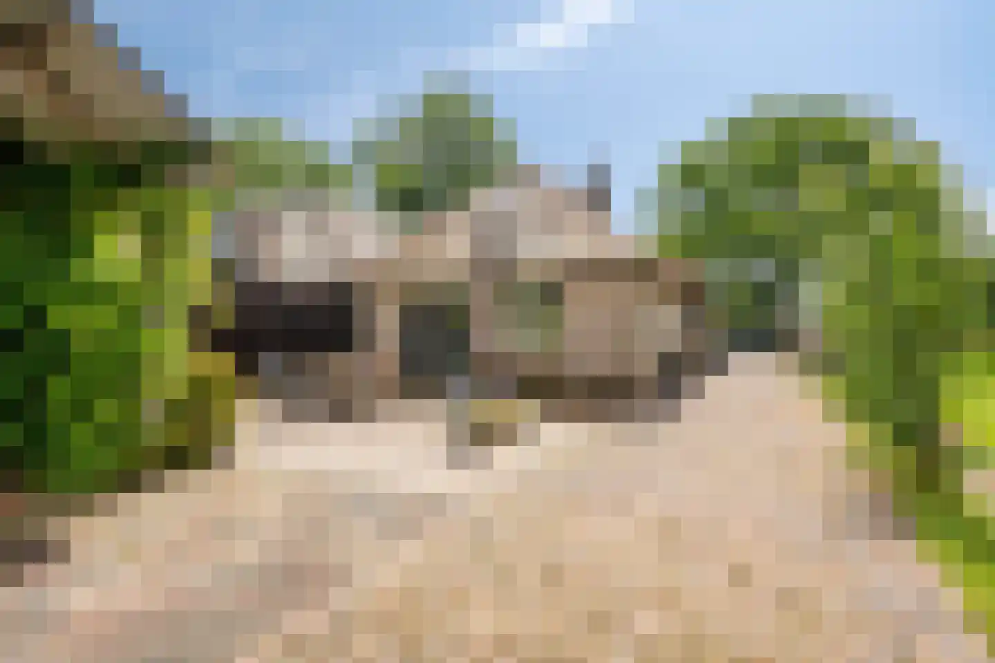 Broeksestraat 61 Babyloniënbroek thumbnail 34