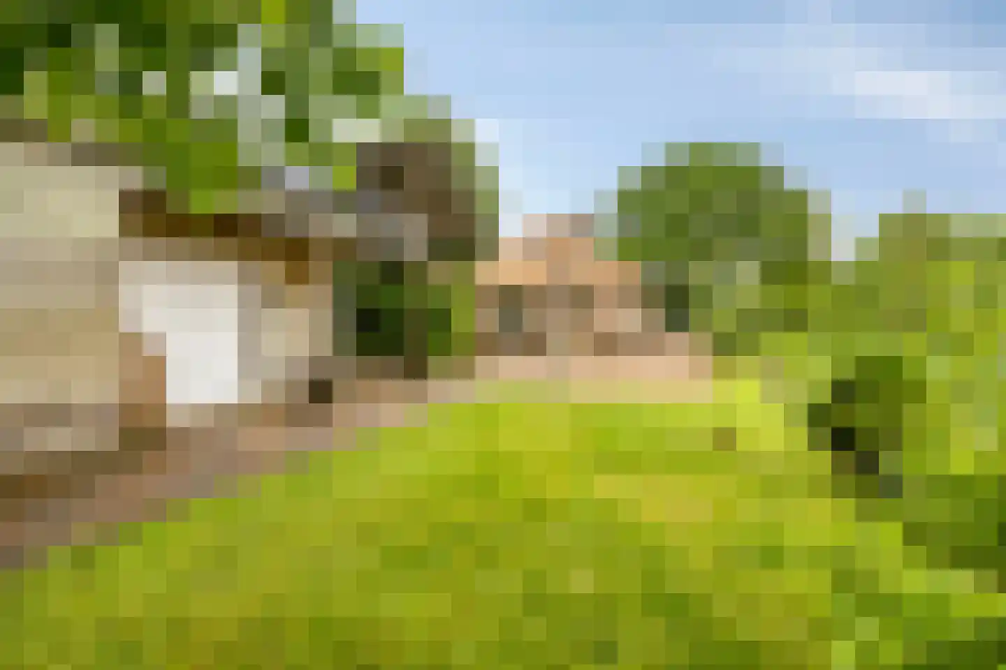 Broeksestraat 61 Babyloniënbroek thumbnail 38