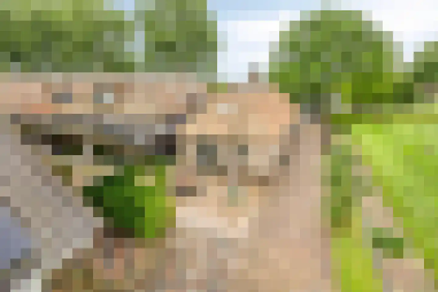 Broeksestraat 61 Babyloniënbroek thumbnail 47