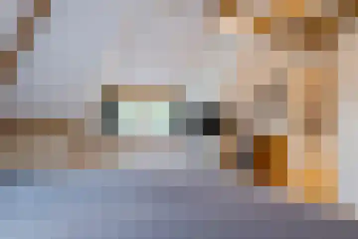 Broeksestraat 65 Babyloniënbroek thumbnail 33