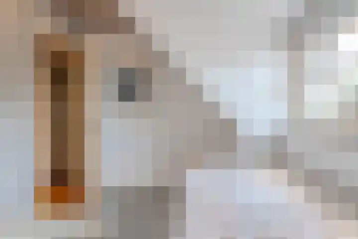 Broeksestraat 65 Babyloniënbroek thumbnail 35