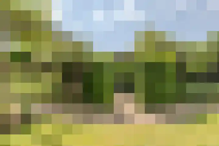 Broeksestraat 65 Babyloniënbroek thumbnail 46